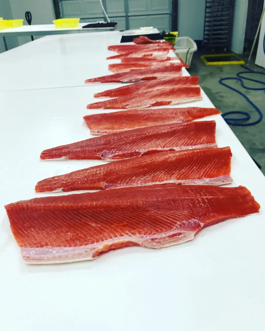 Ruby-red wild sockeye salmon fillets